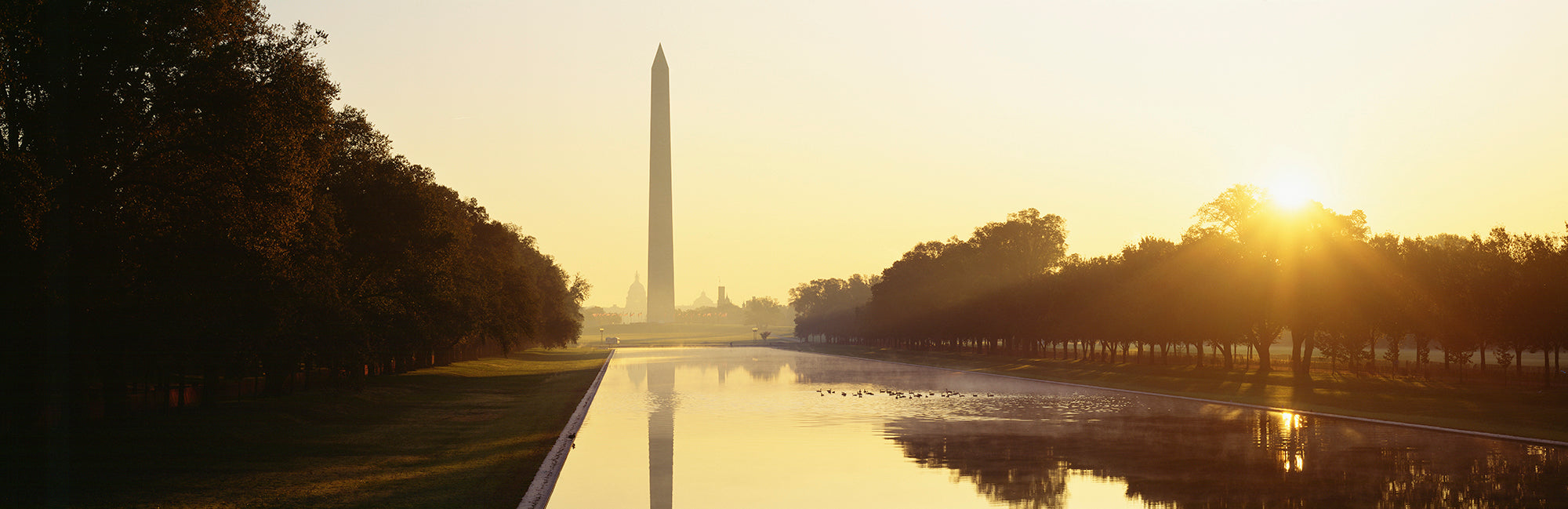 Washington Monument, Washington DC, District Of Columbia, USA Wall Mural