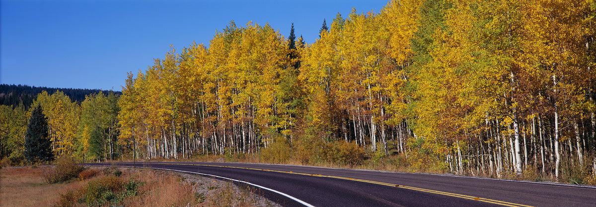 USA, Colorado, Grand Junction, Road Wall Mural