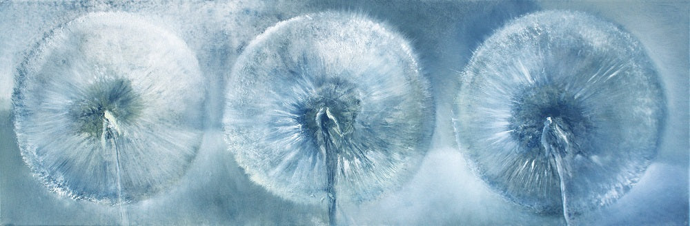Three Dandelions in the Blue Light Wall Mural