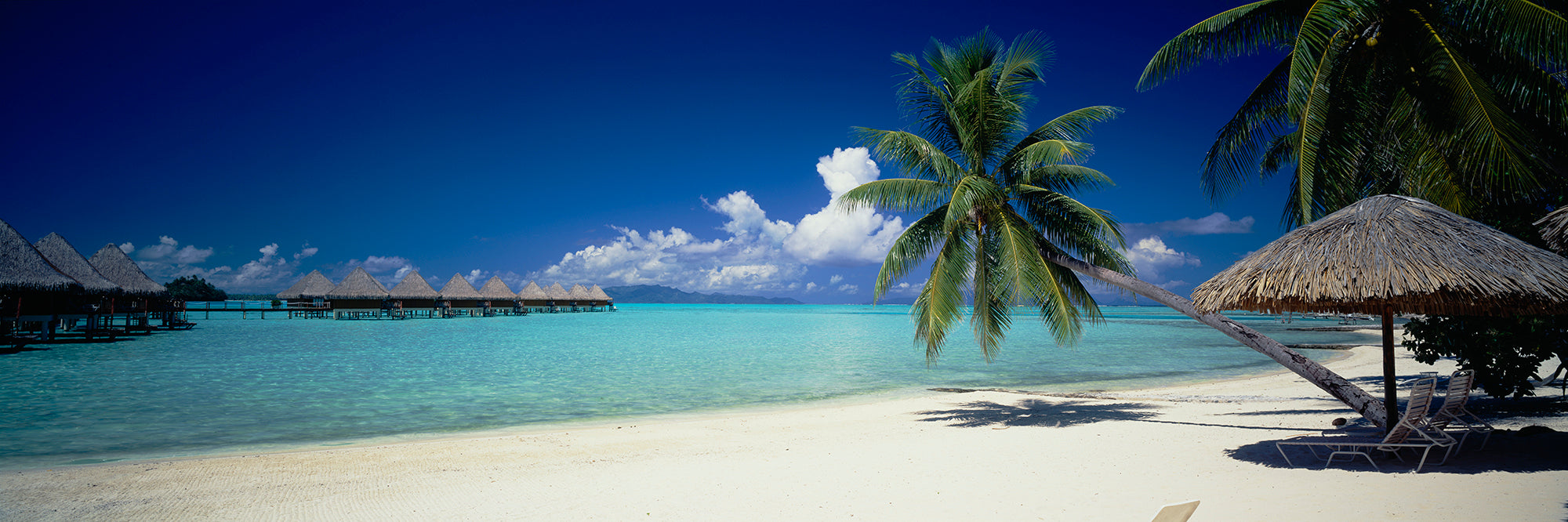 Palm Trees Moana Beach Bora Bora Island Wall Mural