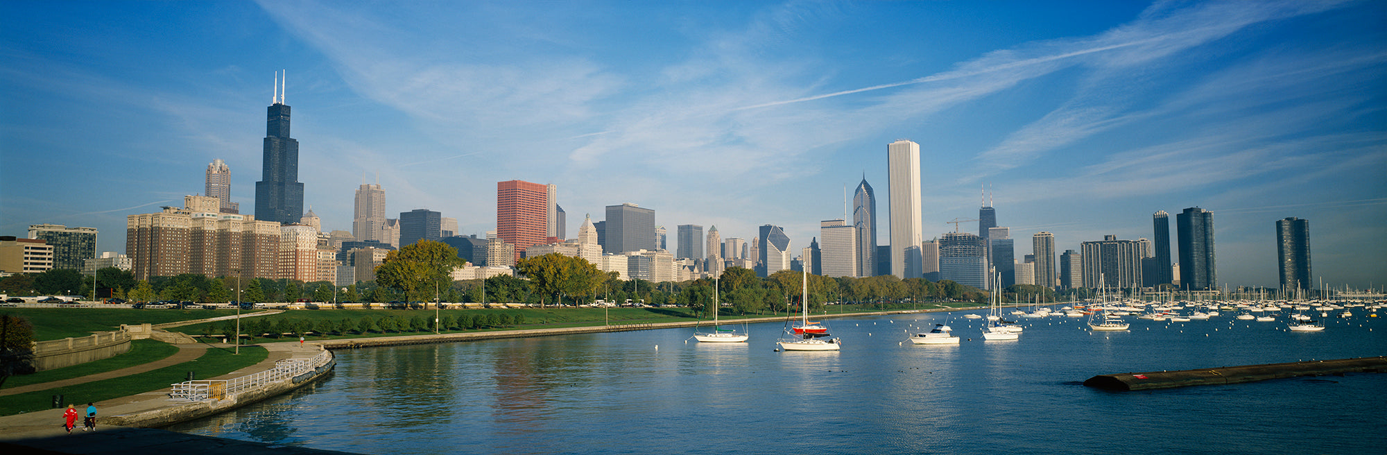 Skyscrapers In A City, Chicago, Illinois, USA Wall Mural