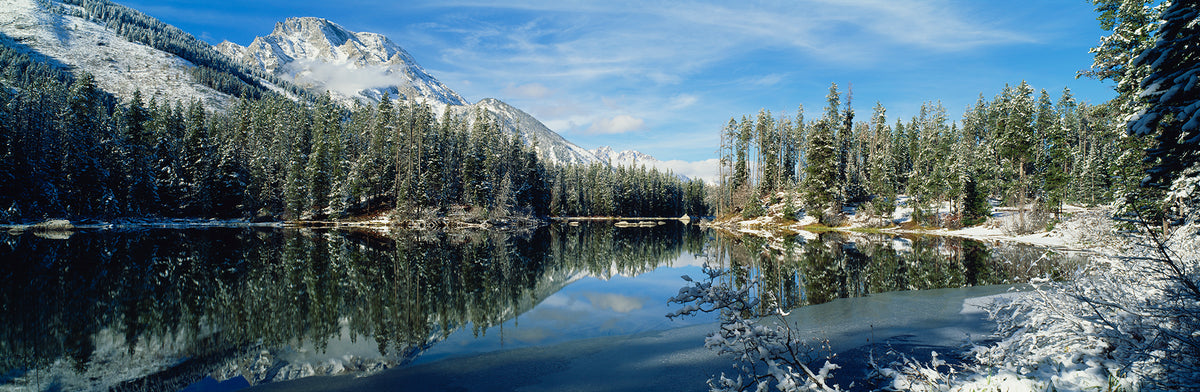 Reflection Of Trees In A Lake, Yellowstone National Park, Wyoming, USA Wall Mural