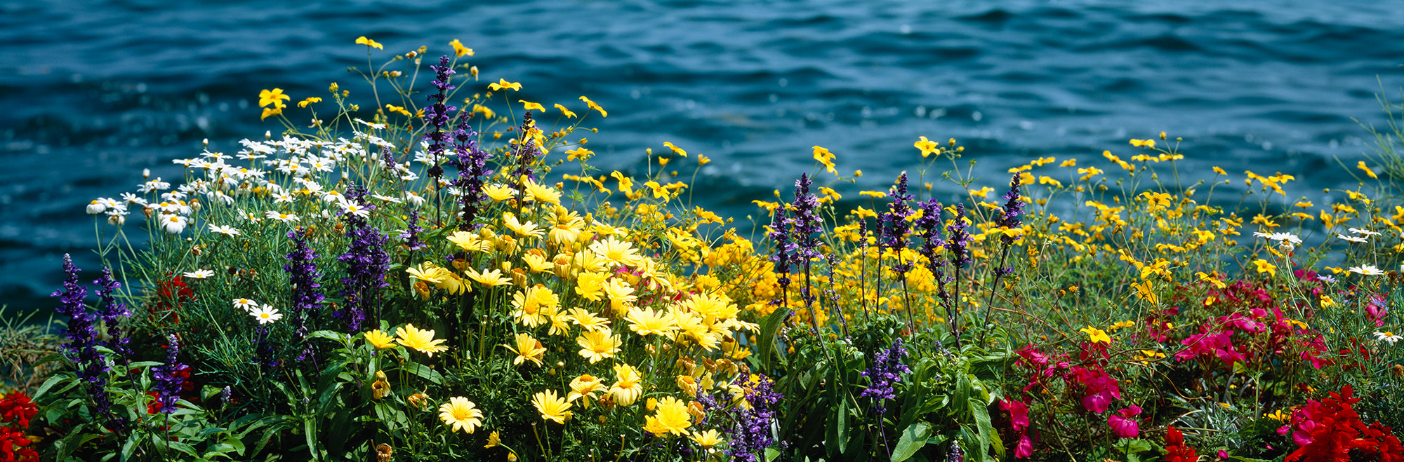 Leman Lake Montreux Switzerland Wall Mural