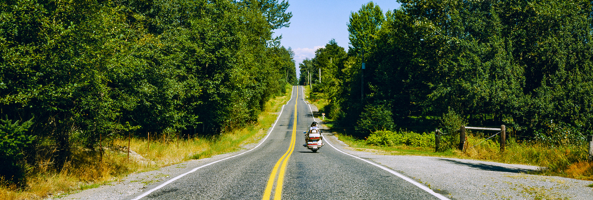 Road Passing Through A Forest, Lynden, Washington State, USA Wall Mural