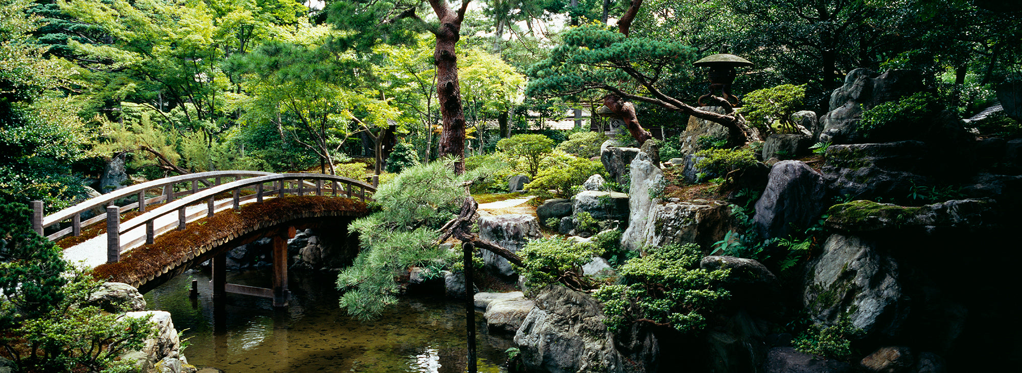 Footbridge Across A Pond, Kyoto Imperial Palace Gardens, Kyoto Prefecture, Japan Wall Mural