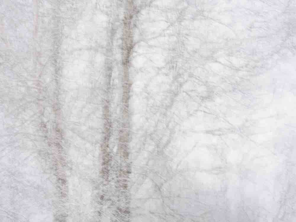 Winter's Whisper I Wall Mural