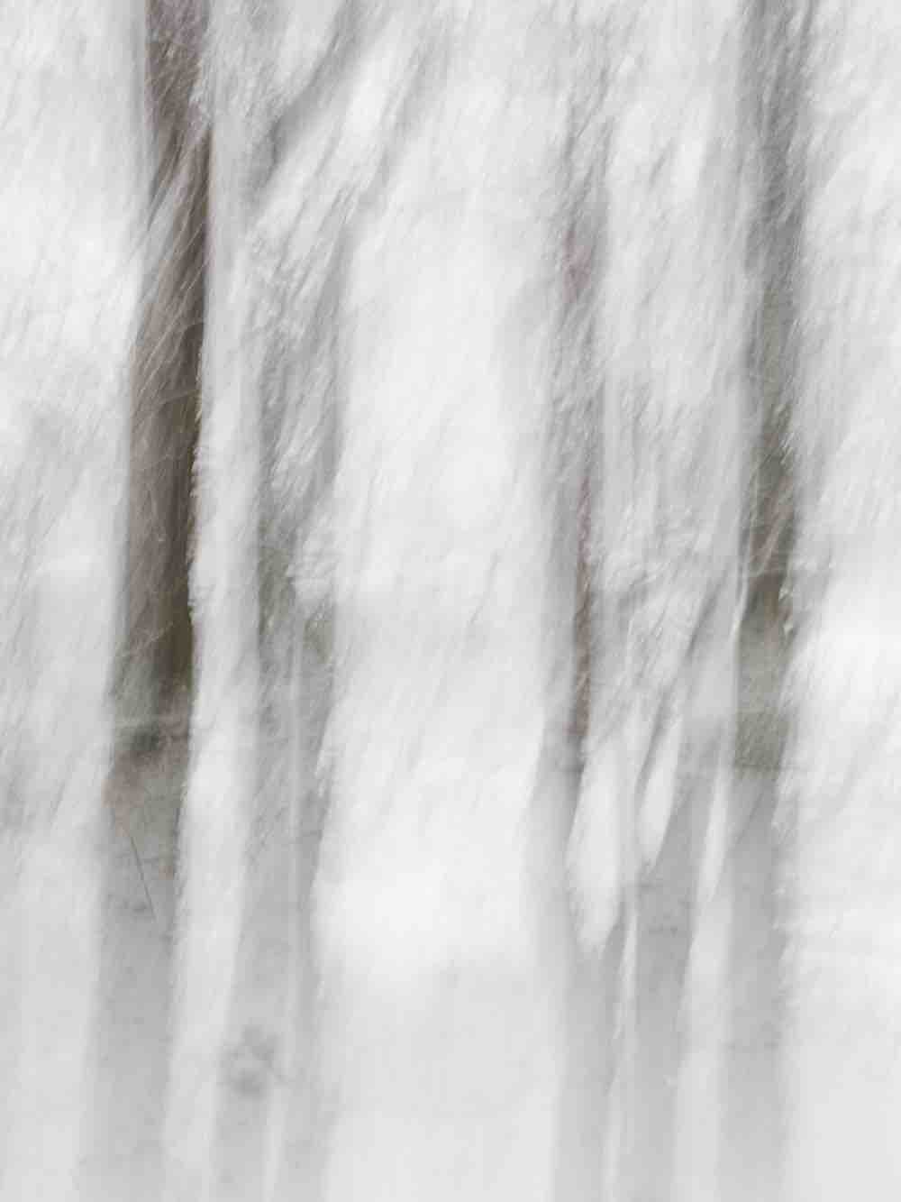 Winter Whispers III Wall Mural