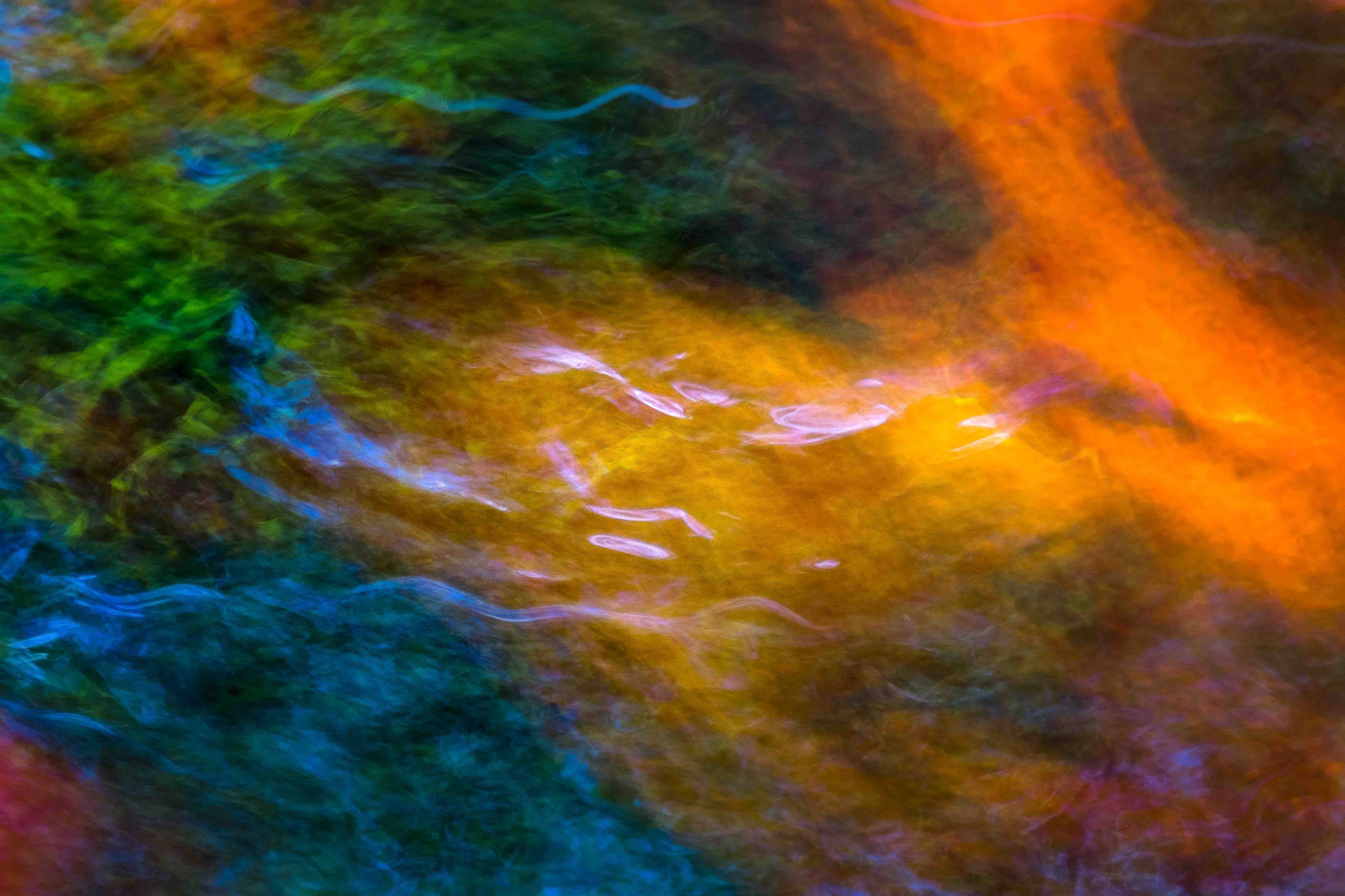 Swimming Against the Tide Wall Mural