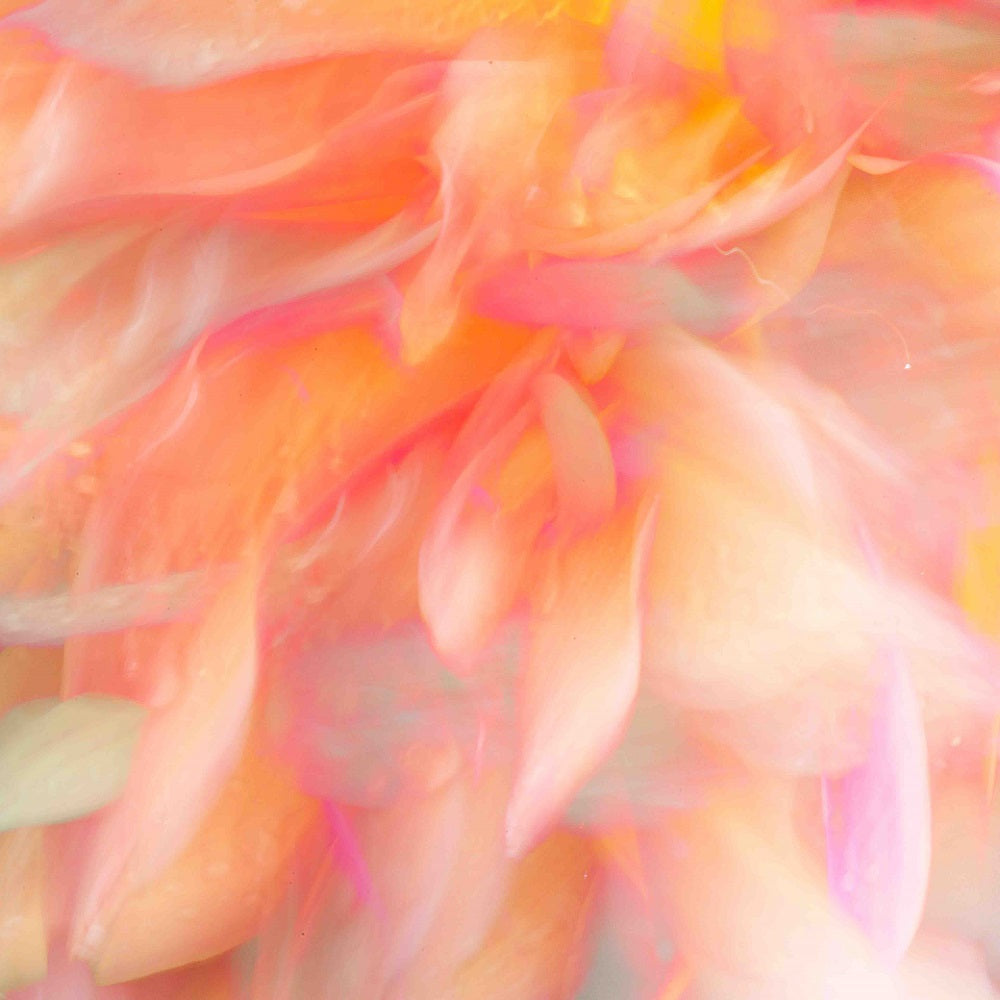 Floral Flames II Wall Mural