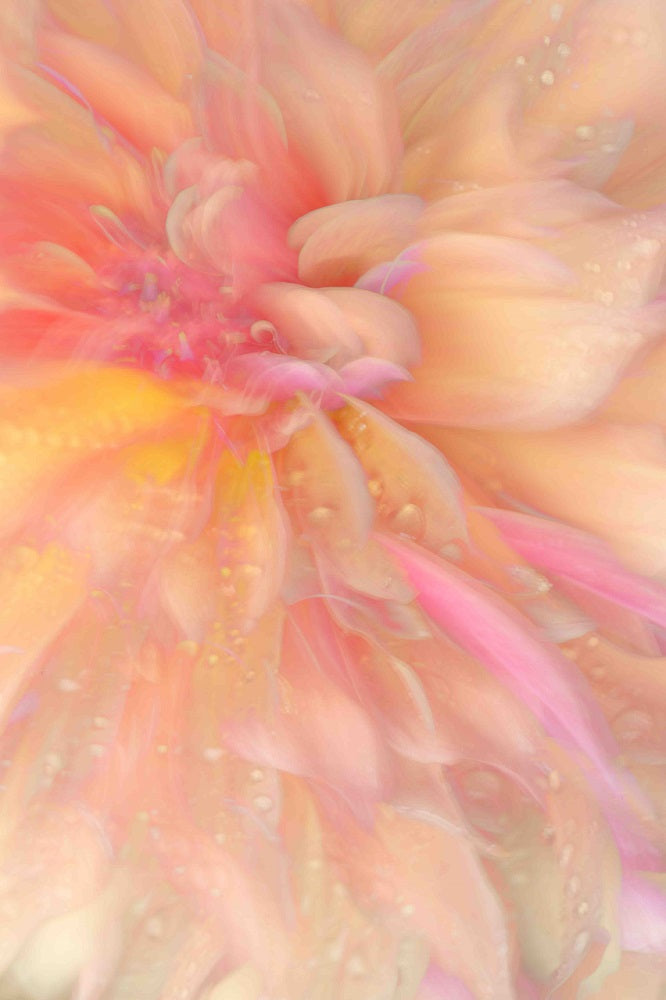 Floral Flames III Wall Mural