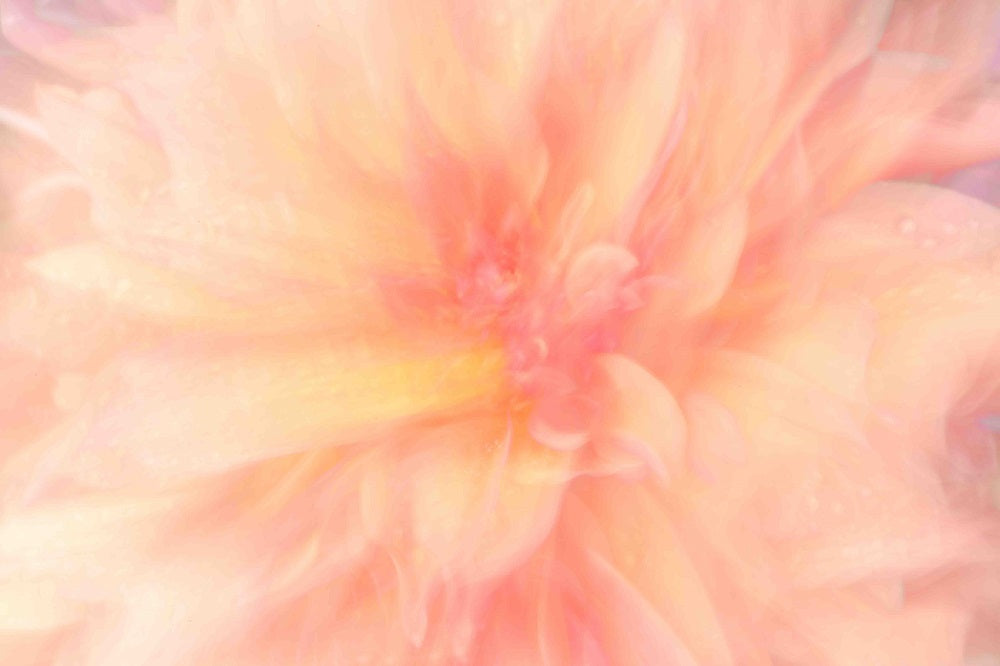 Floral Flames IV Wall Mural