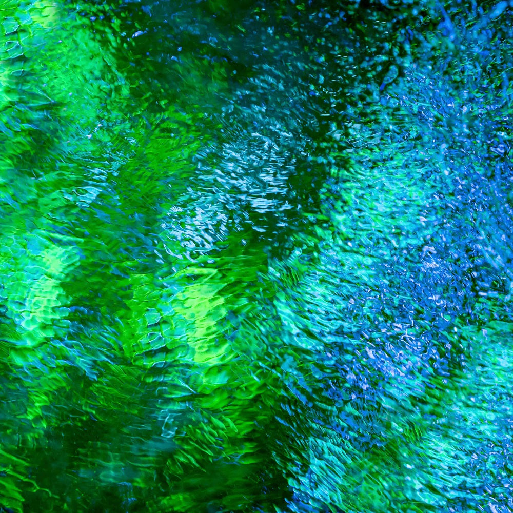 Monet's Pool I Wall Mural