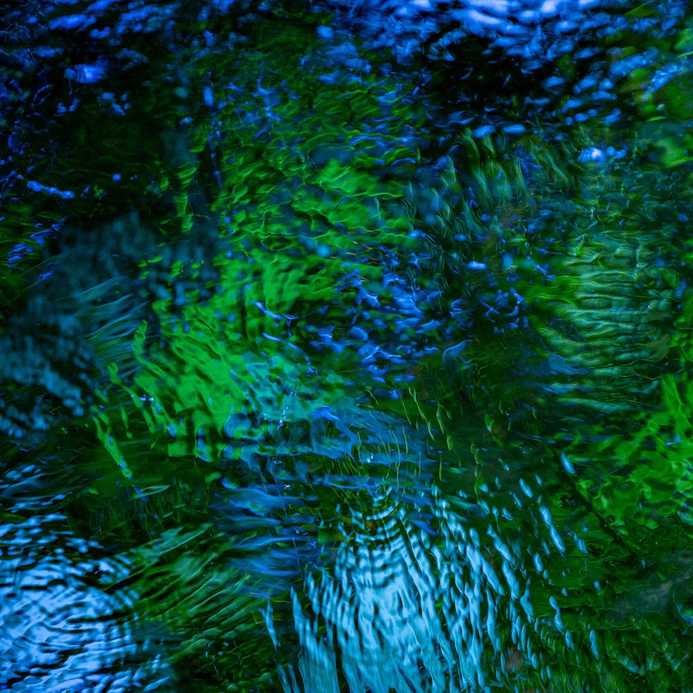 Monet's Pool II Wall Mural