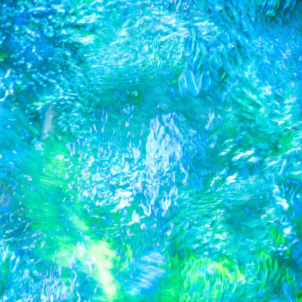 Monet's Pool III Wall Mural