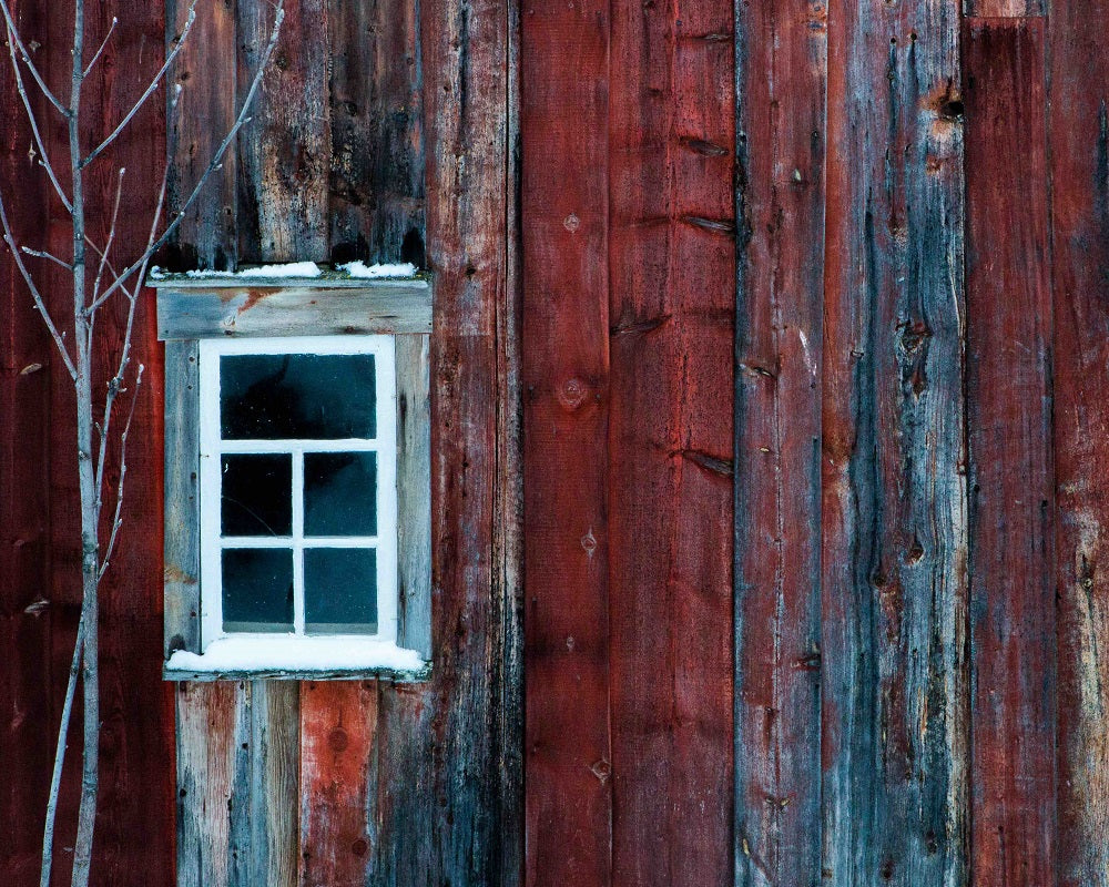 Winter Wood Wall Mural