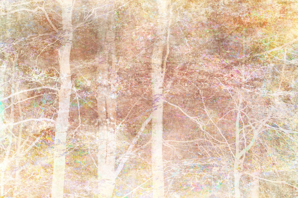 Woodland Dreams Wall Mural