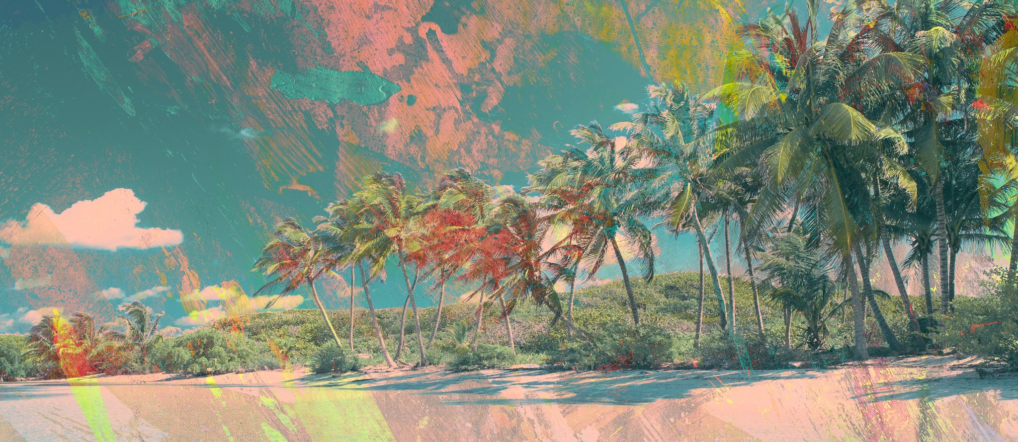 Tropical Palms Wall Mural