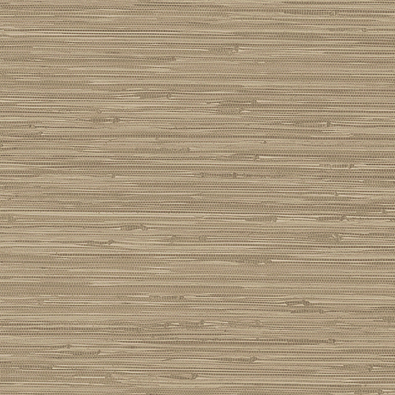 Elegance 01