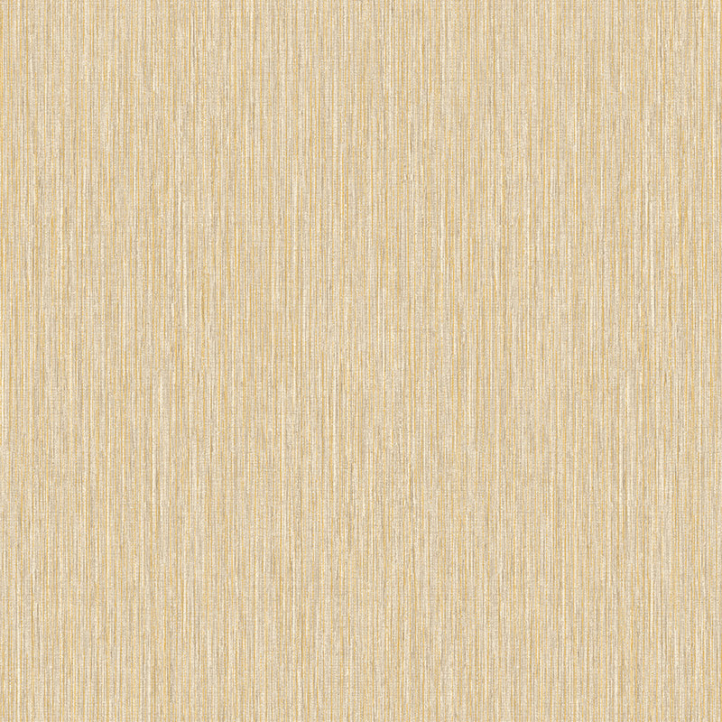 Icon 01
