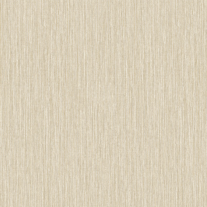 Icon 01