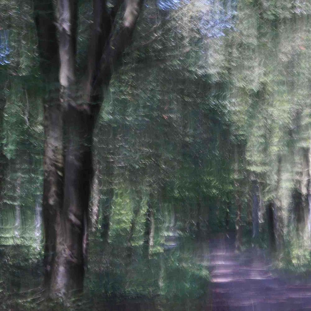 Lightness Wall Mural