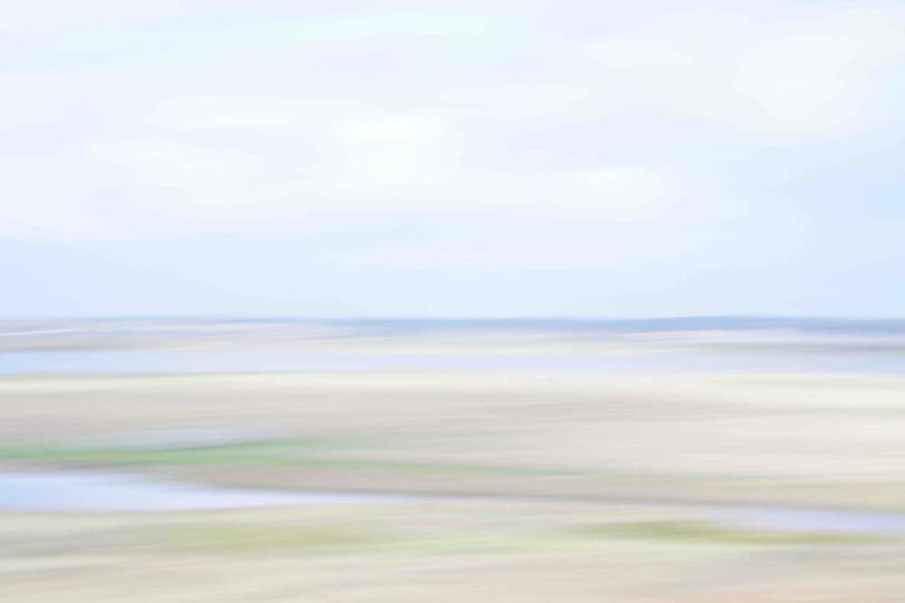 Southern Winds Wall Mural