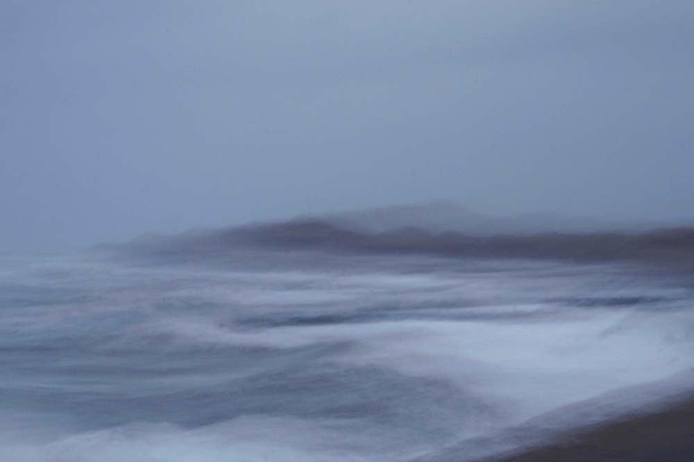 Wild is the Wind Wall Mural