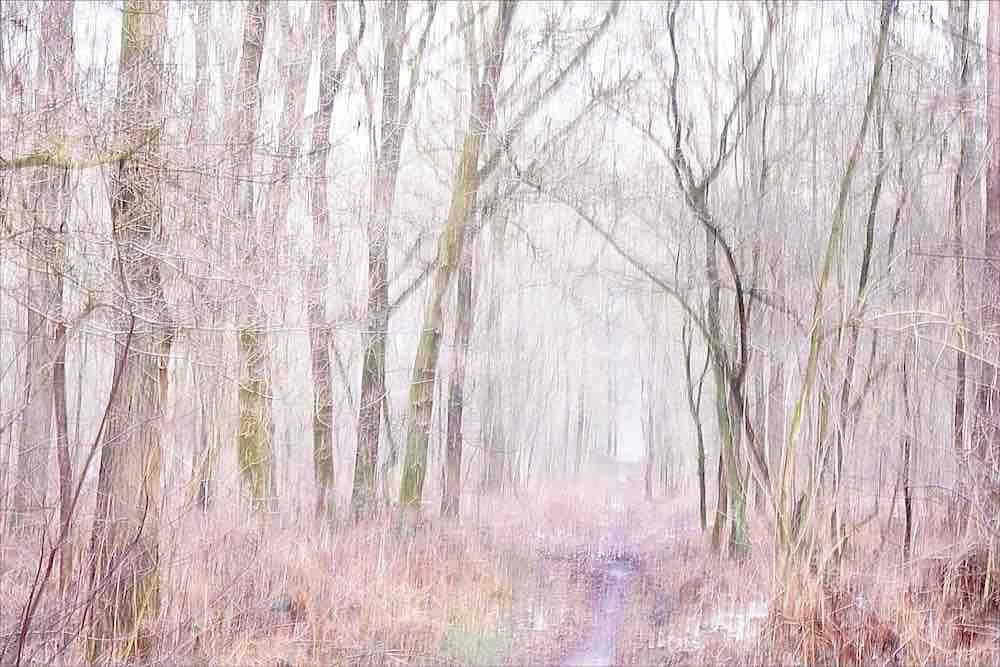 Yawning Winter Morning Wall Mural