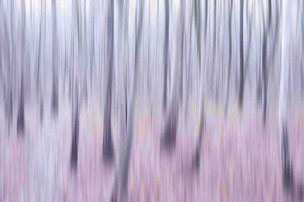 Frozen Light Wall Mural