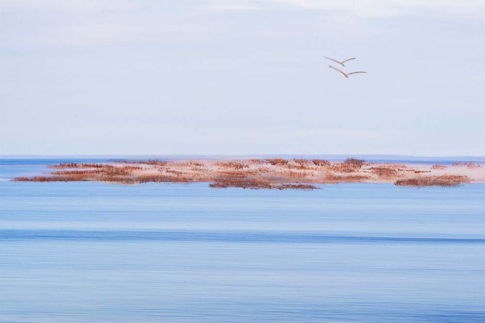 The Island Wall Mural
