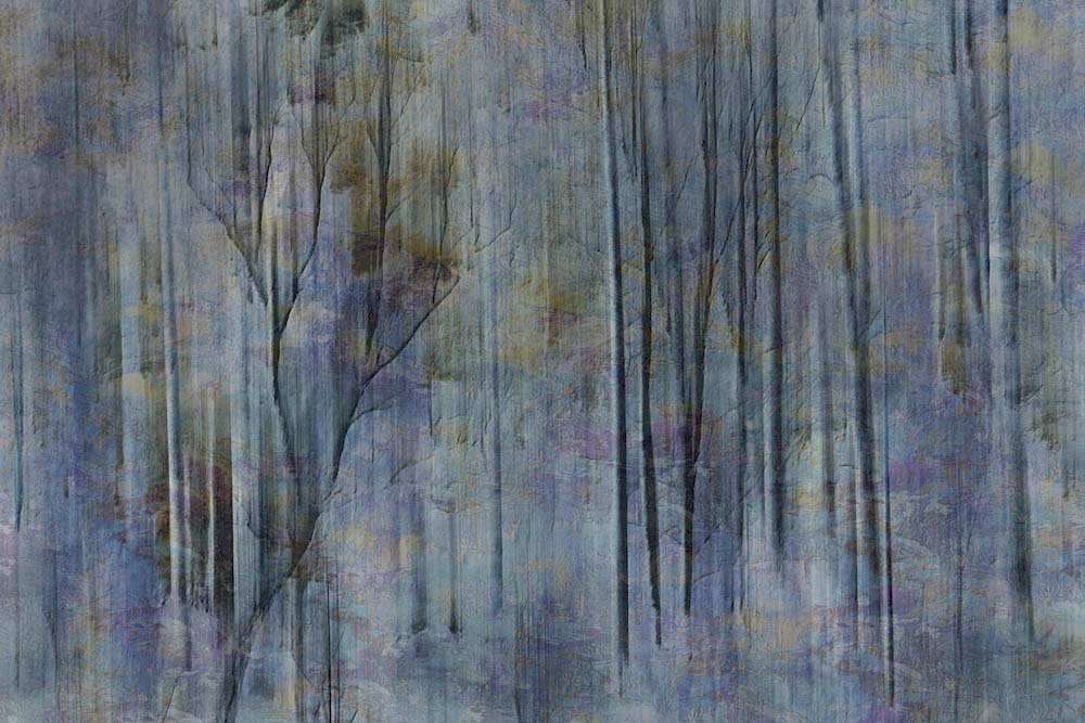 Winter Night Wall Mural