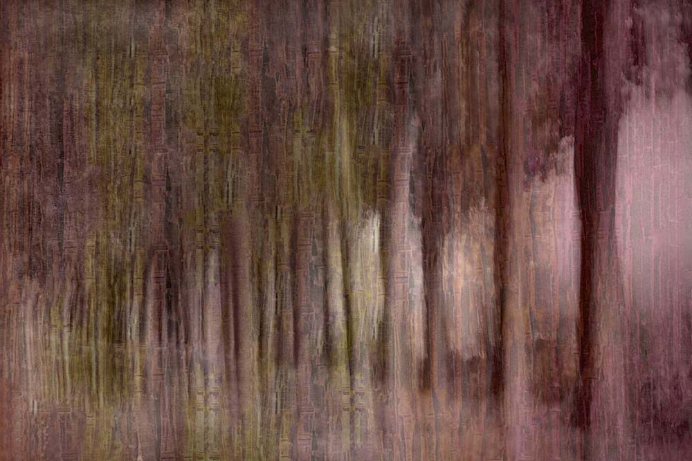 Twilight Of Autumn Wall Mural