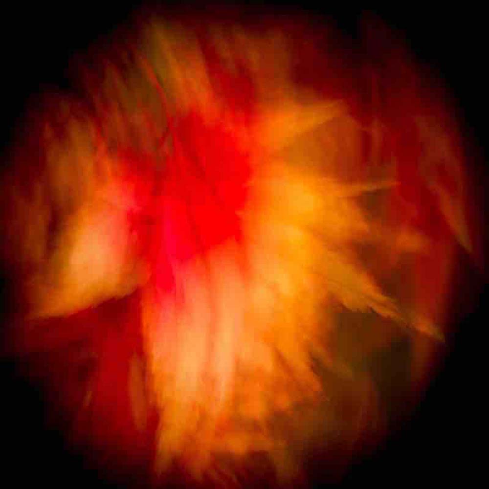 Wings of a Feather Wall Mural