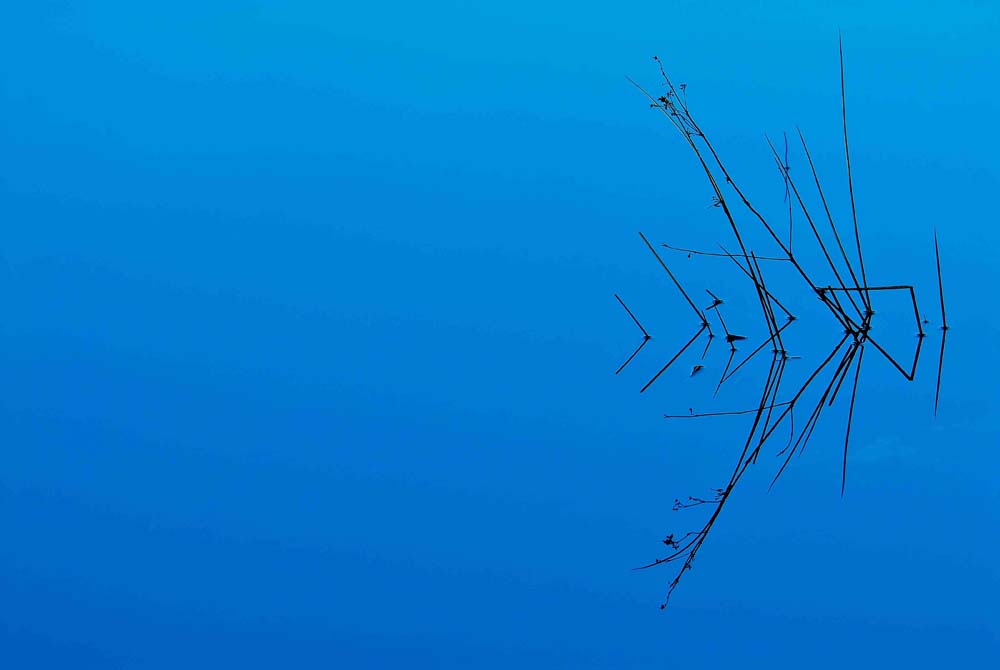 Less Is More Wall Mural