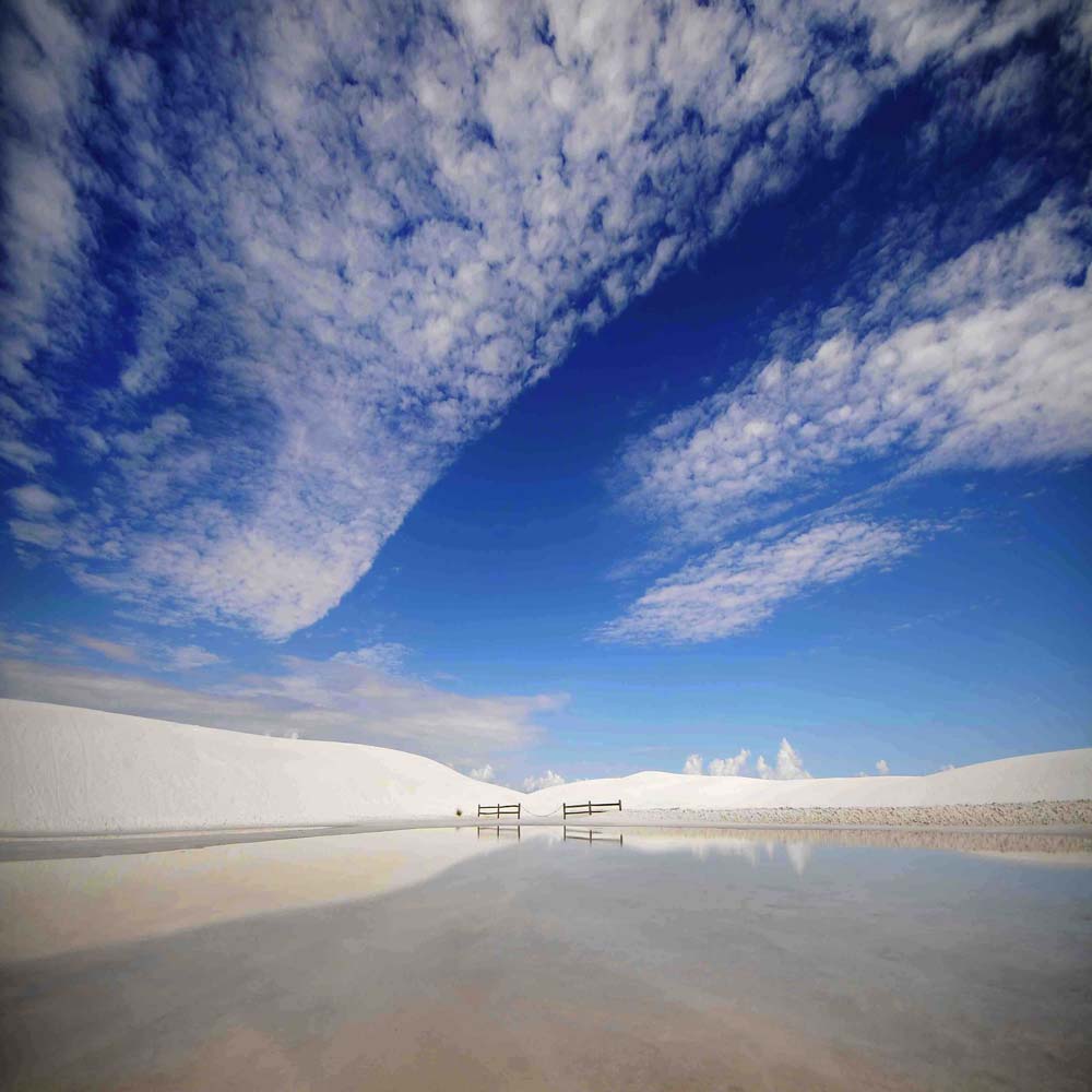 Transition Wall Mural