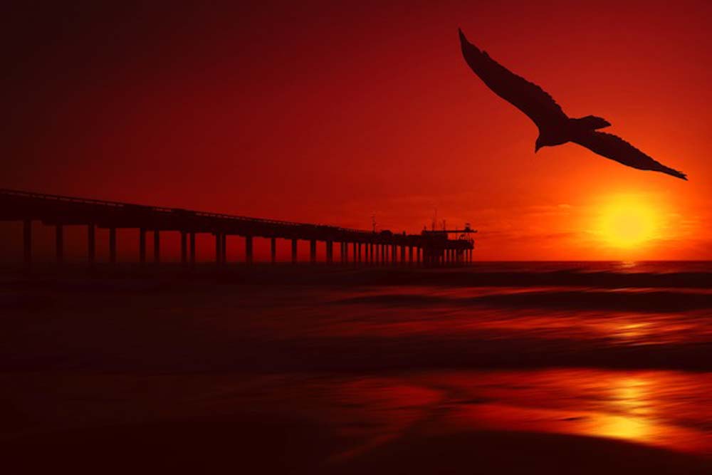 Red Flight Wall Mural