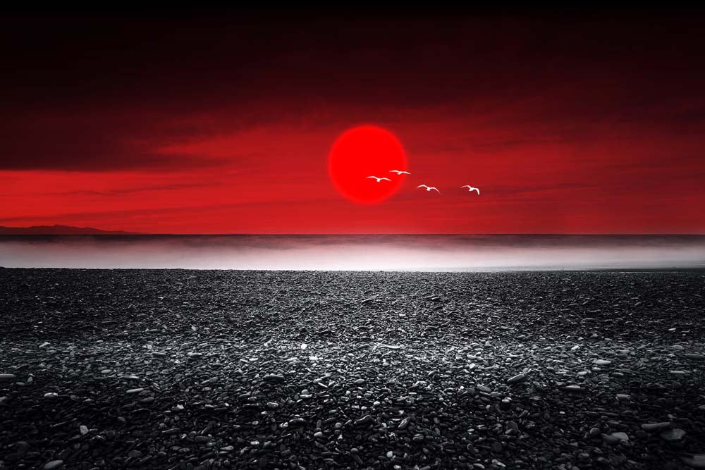 Ride on Time Wall Mural