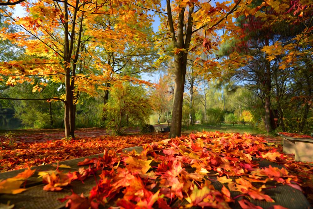 Colorful Autumn Wall Mural
