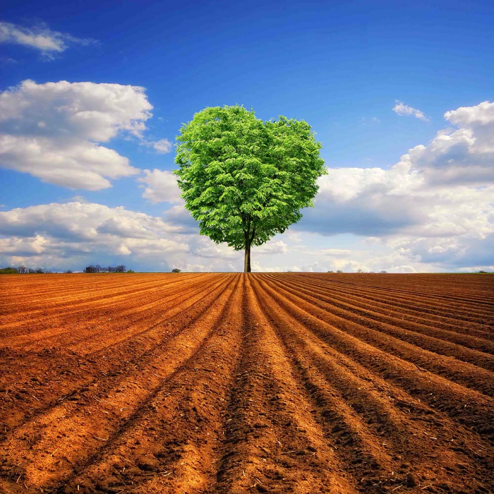 Tender Nature Wall Mural