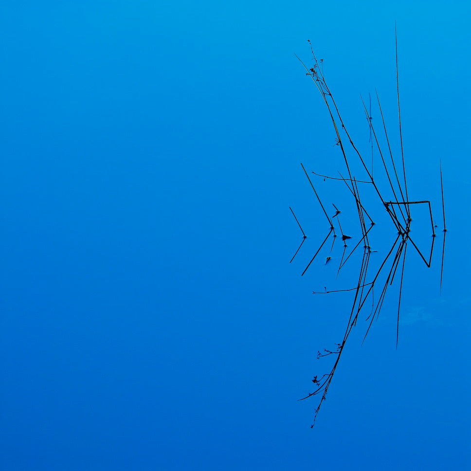 Less is More Wall Mural