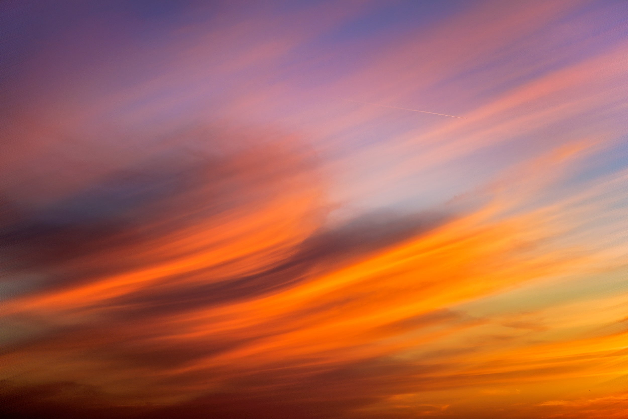 Amber Wave Wall Mural