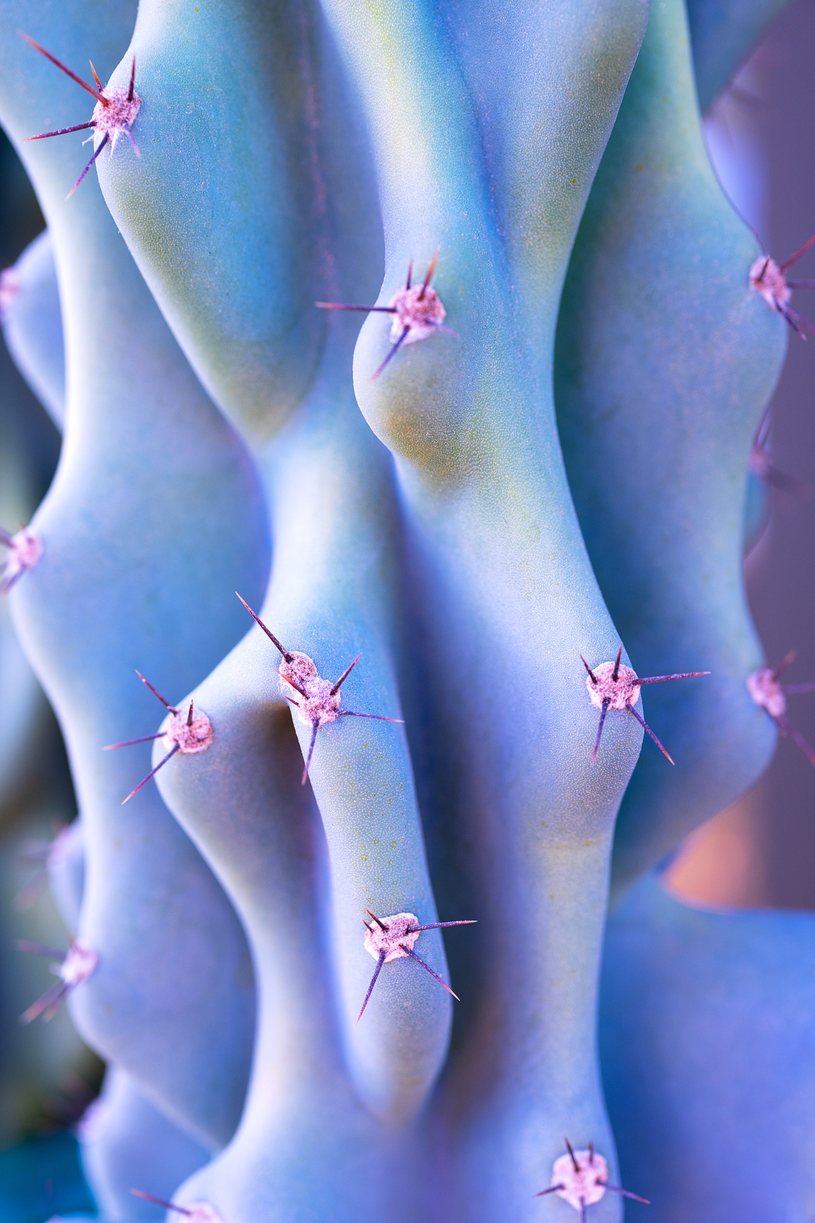 Glowing Spikes Wall Mural