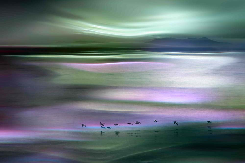 Migrations Wall Mural