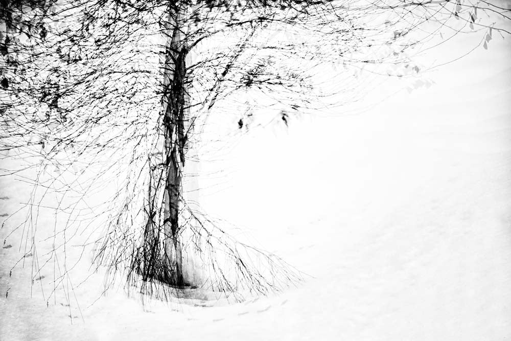 Snow Dance Wall Mural