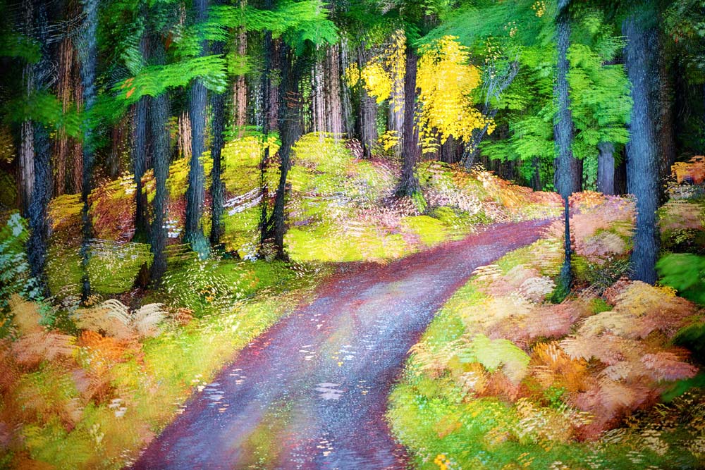 Going Home Wall Mural