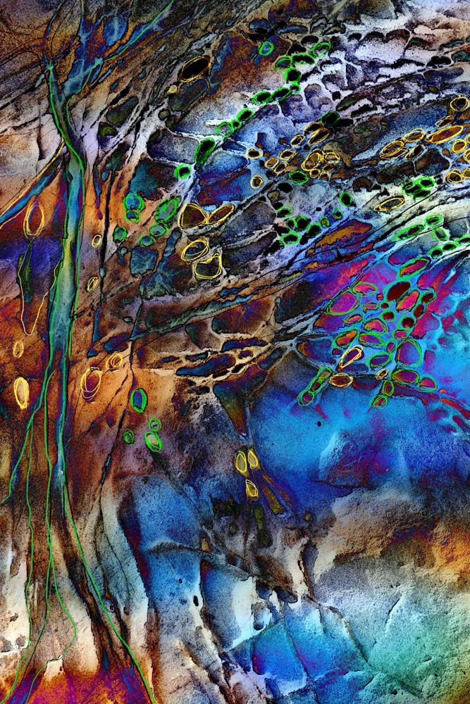 Wood and Stones Wall Mural