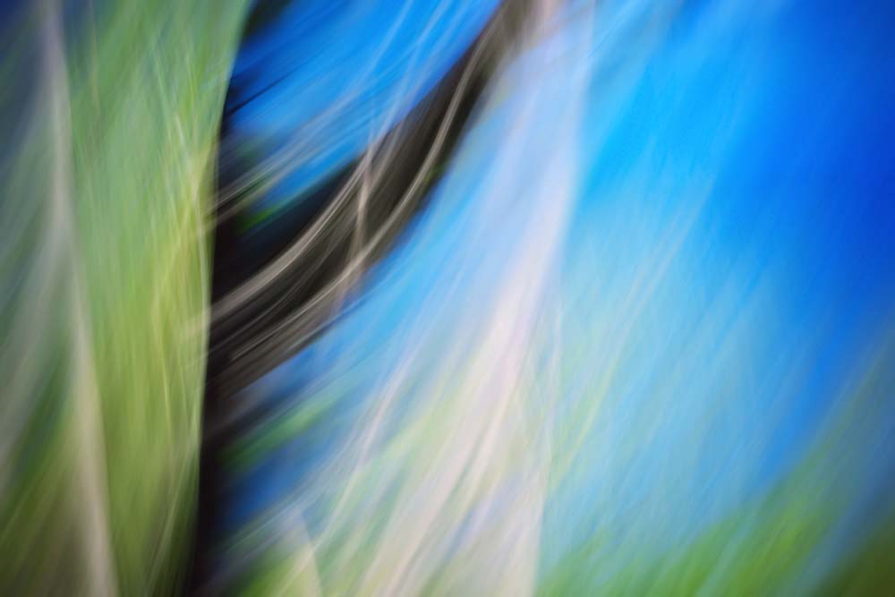 By The Blue Lake Wall Mural