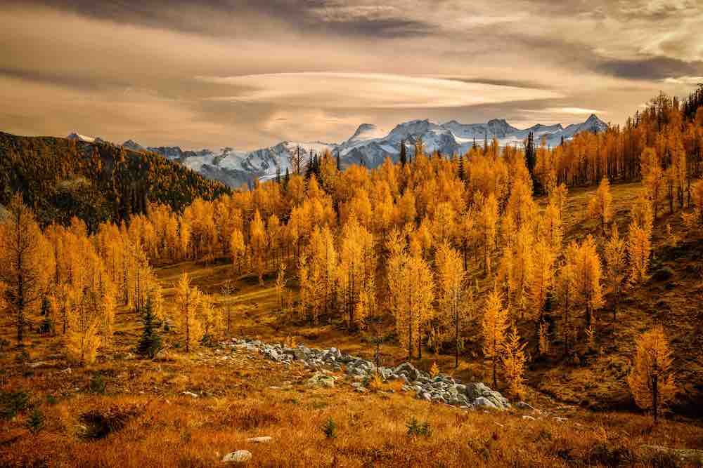 Glorious Evening Wall Mural