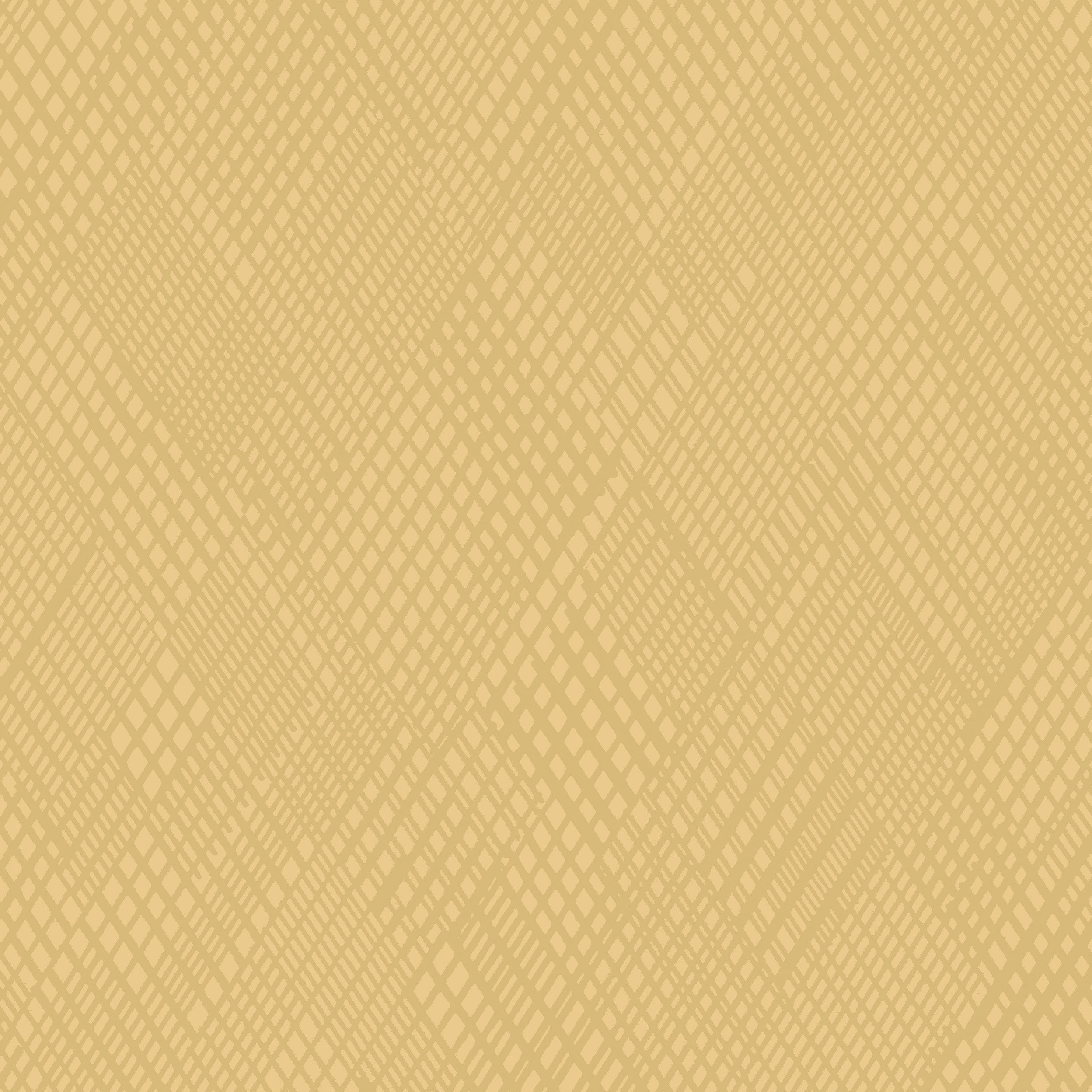 Vibes 05