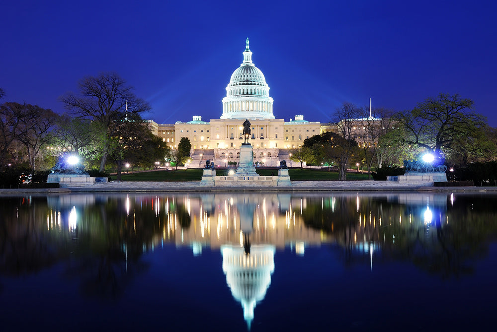 Washington DC Wall Mural